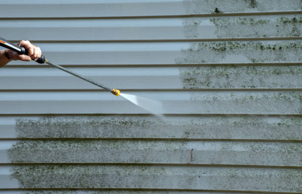 Best Exterior Home Cleaning  in Willmar, MN