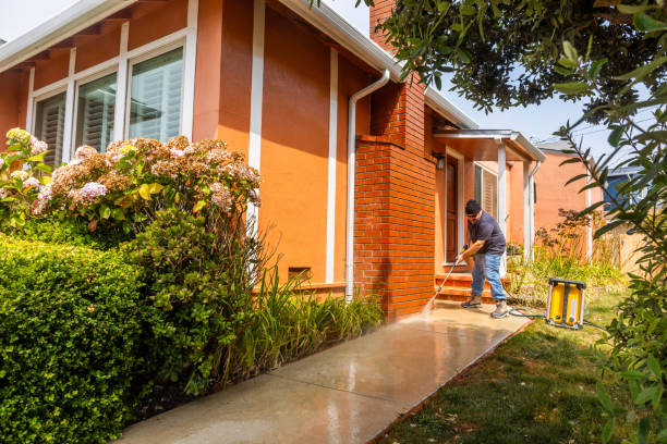 Best Pressure Washing Services Near Me  in Willmar, MN