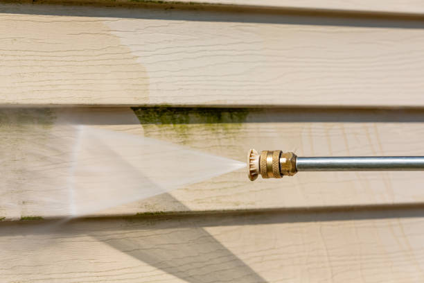 Best Exterior Home Cleaning  in Willmar, MN