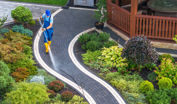 Best Pressure Washing Patio  in Willmar, MN